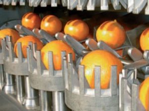 Espremedor de frutas cítricas